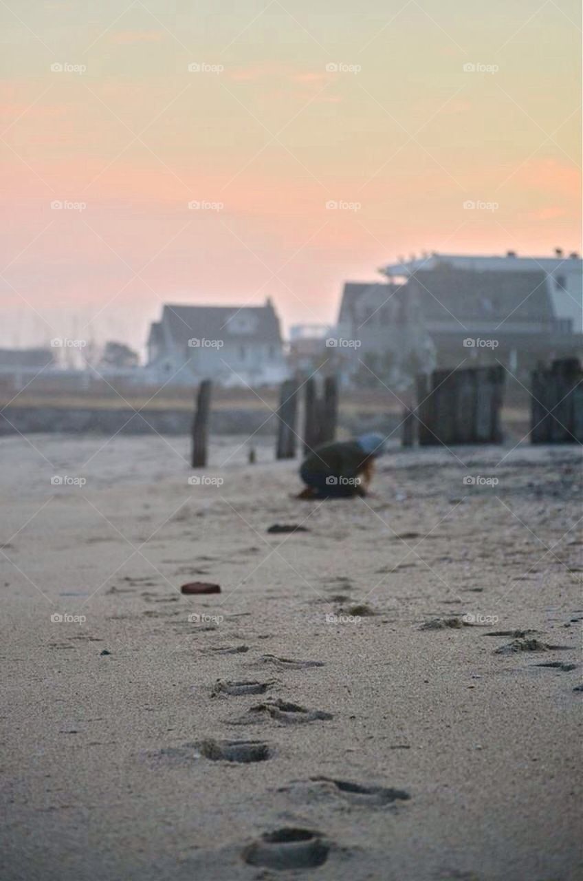 Beach Combing 