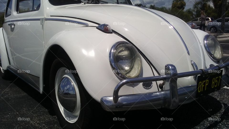 VW Bug