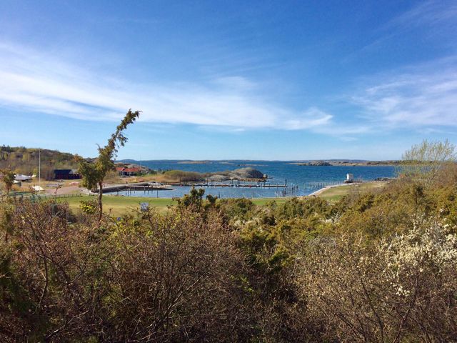 Swedens ocean nature 