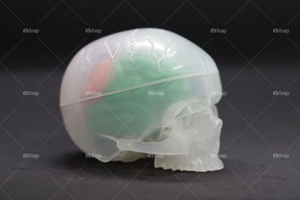 Build your own brain, a plastic model of the human skull and brain.