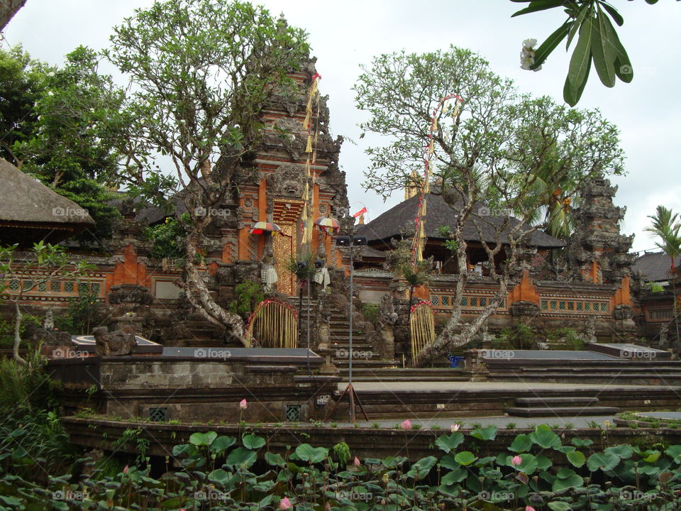 temple of ubud. templr of lotus cafe in ubud