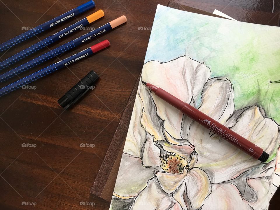 Flowers and nature colors Faber-Castell Aquarelle watercolor sketch art photography 
