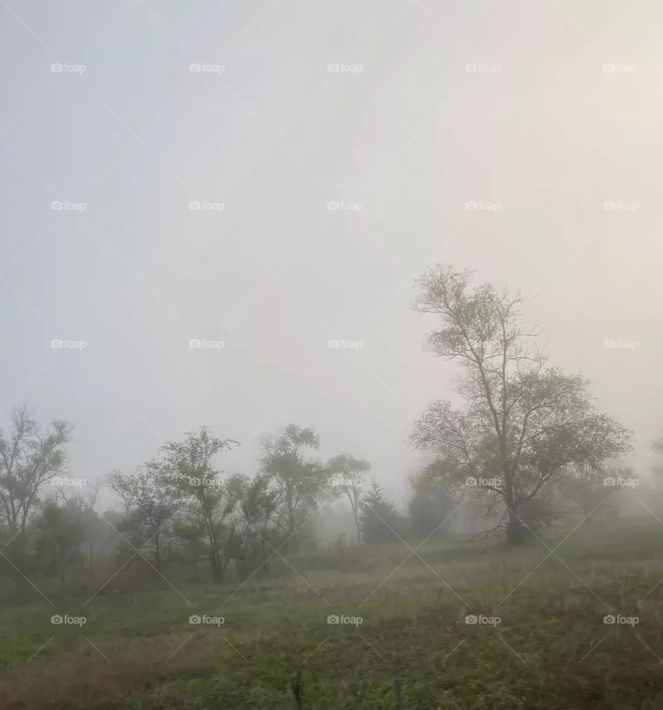 Foggy