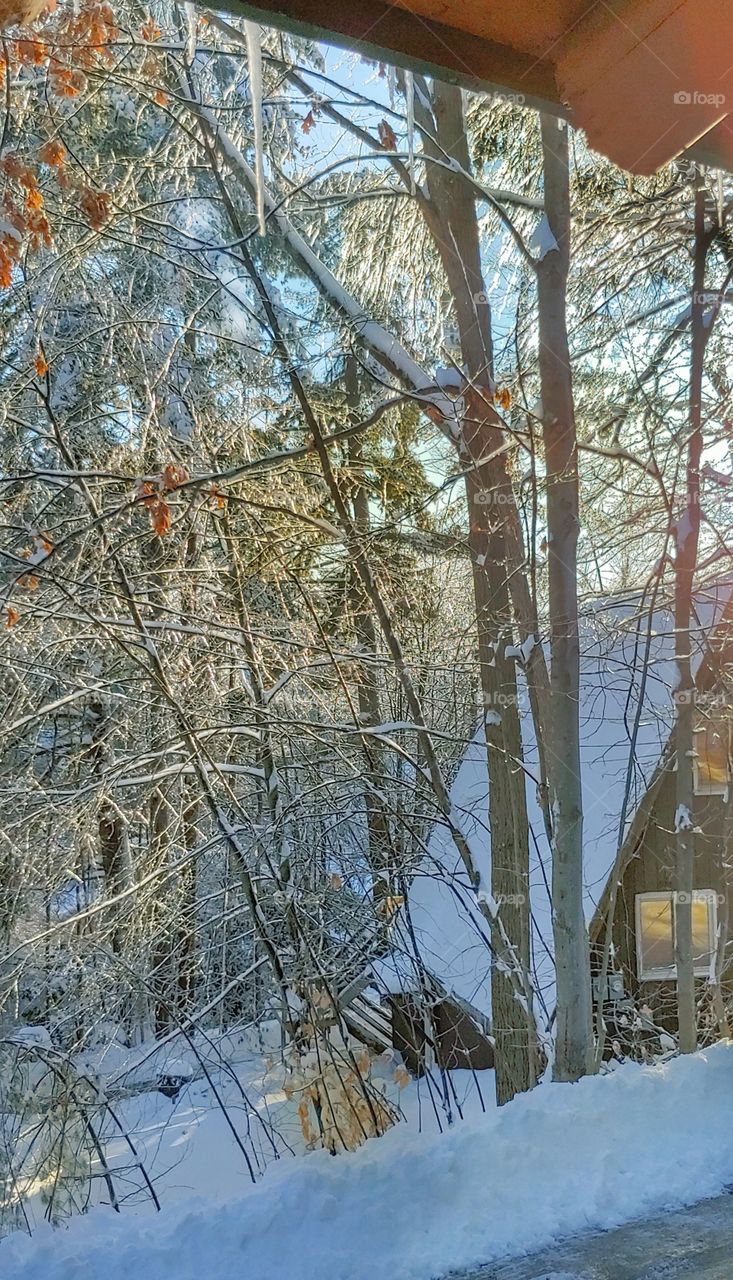 An Adirondack A-frame in Winter!