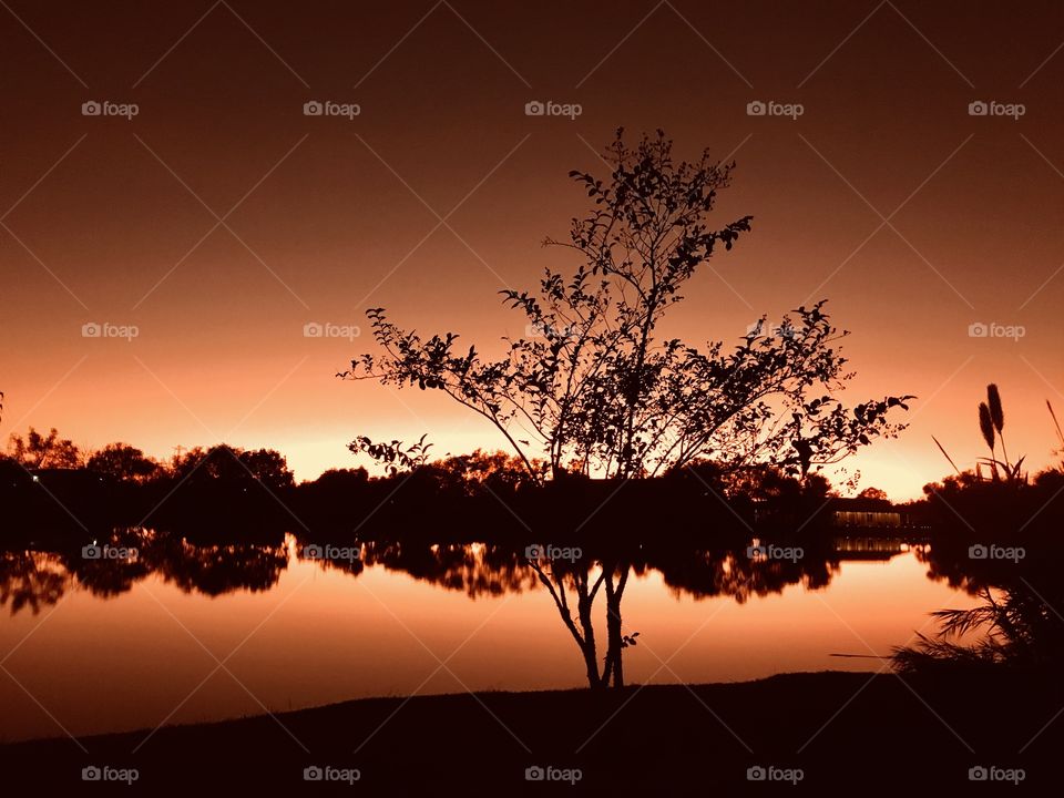 As Night creeps up the Evening is Drifting after a Cool day with Warming Sunshjne Breaking to Clear Day. 