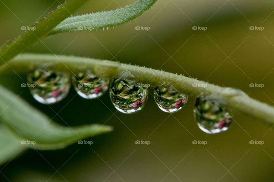 Water Drop Lens