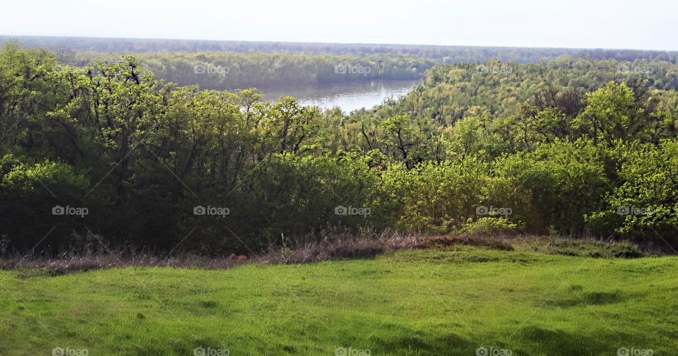 Meadow overlooking the river.