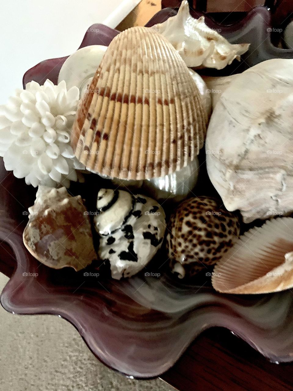 Shells