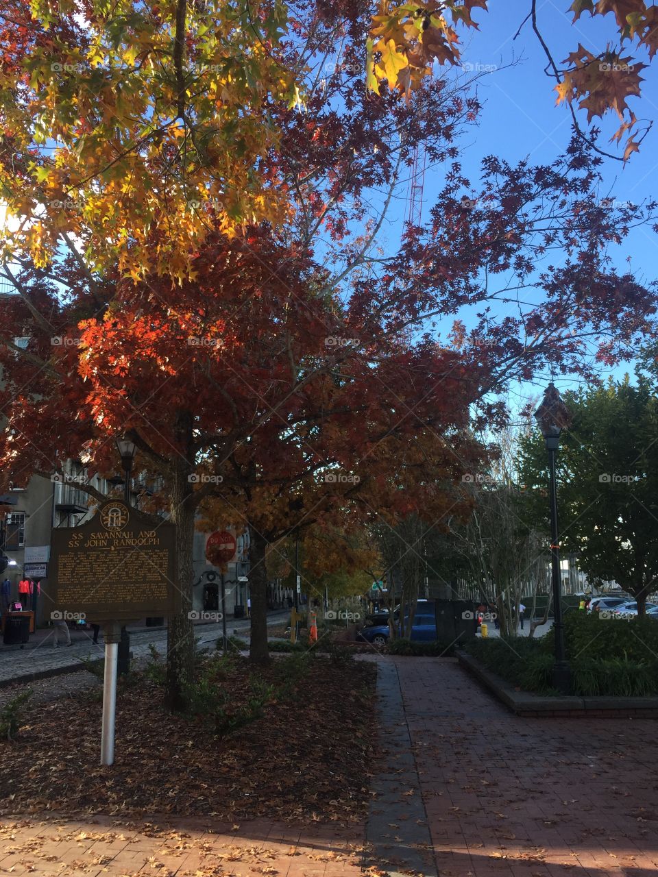 Downtown Savannah in fall