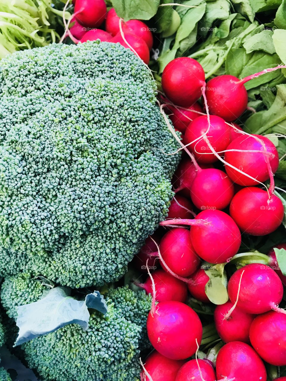 Detox summer vegetables brocolis and radish
