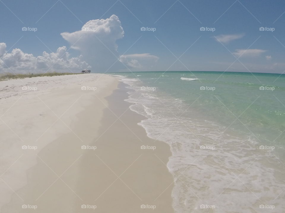 The Stunning Shell Island, Florida