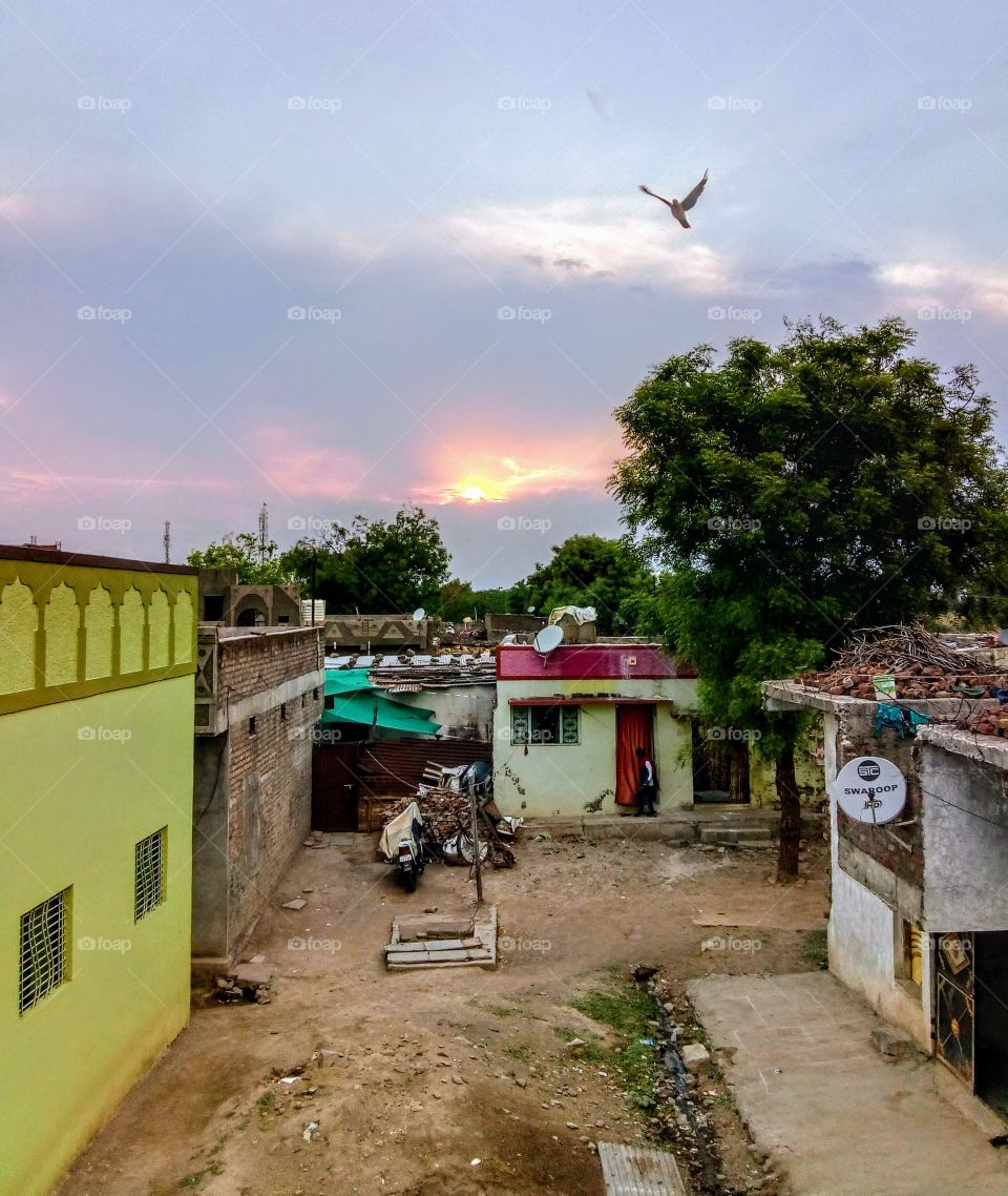 small homes in village and a beautiful sunrise with a green tree and a bird flying over from the tree. no roads in village with muddy ground