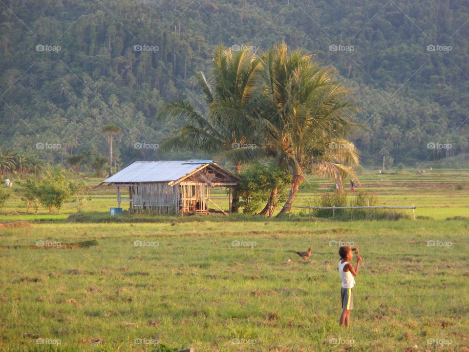 a beautiful view of a small farm house in the philippines. A perfect place for those who want to relax and enjoy the beauty of nature. Though It might be difficult for you to come here