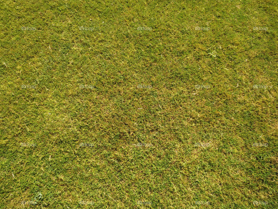 Green grass texture background Top view of bright grass garden Idea concept used for making green backdrop, lawn for training football pitch, Grass Golf Courses green lawn pattern textured background.