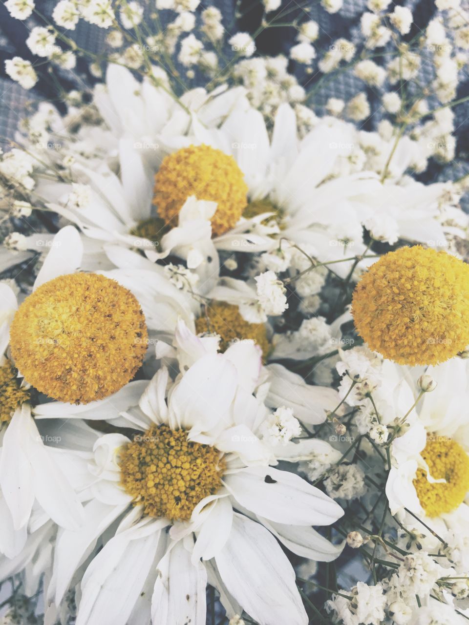 Daisy and Billy Ball wedding bouquet! 
