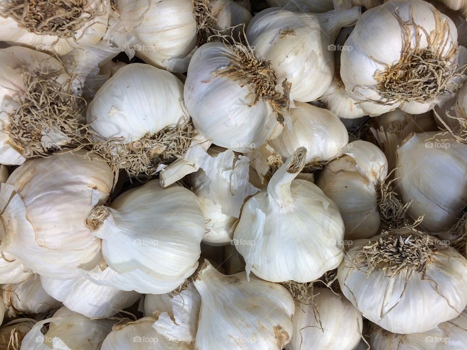 Garlic