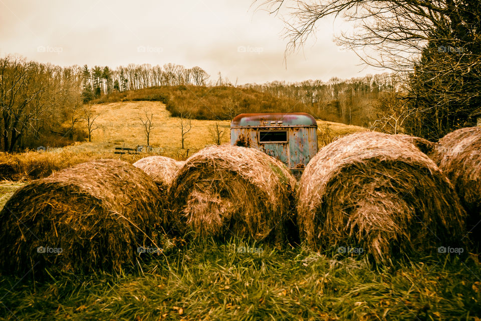 Autumn hay and horse trailer in farm field