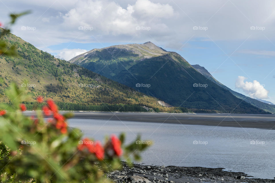 North America Mountains 