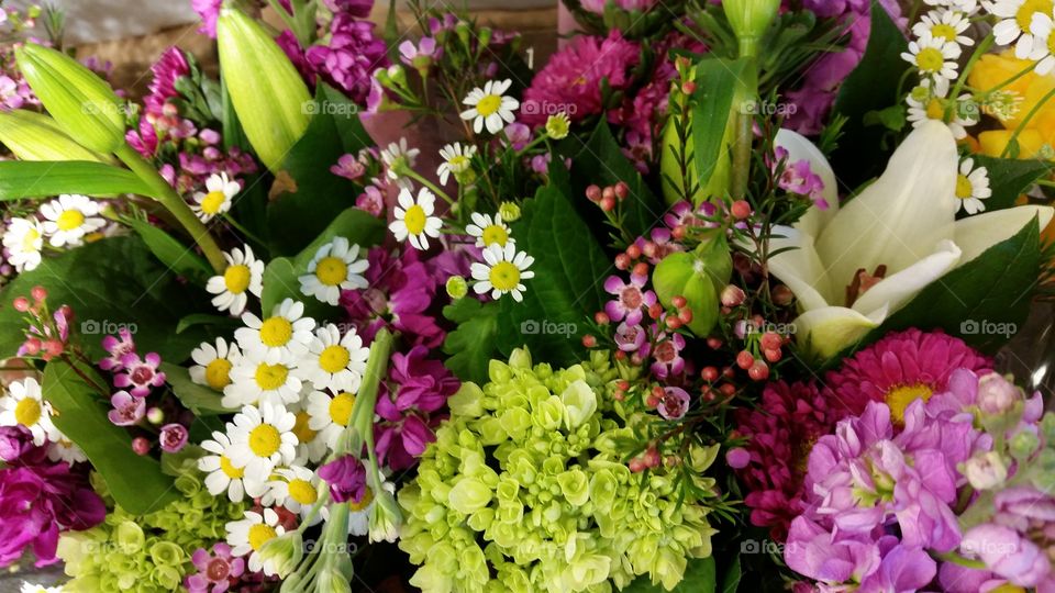 Pink, green and white flowers