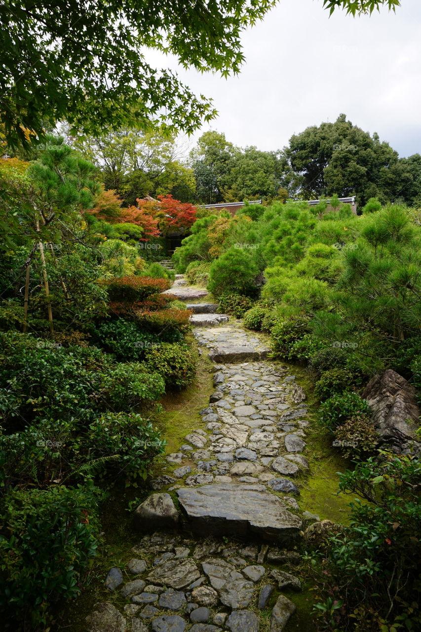 Garden path