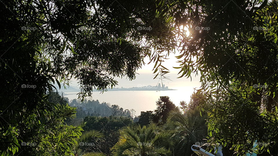 view of the city from the forest