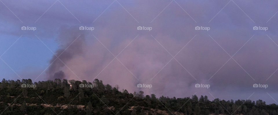 forest fire smoke