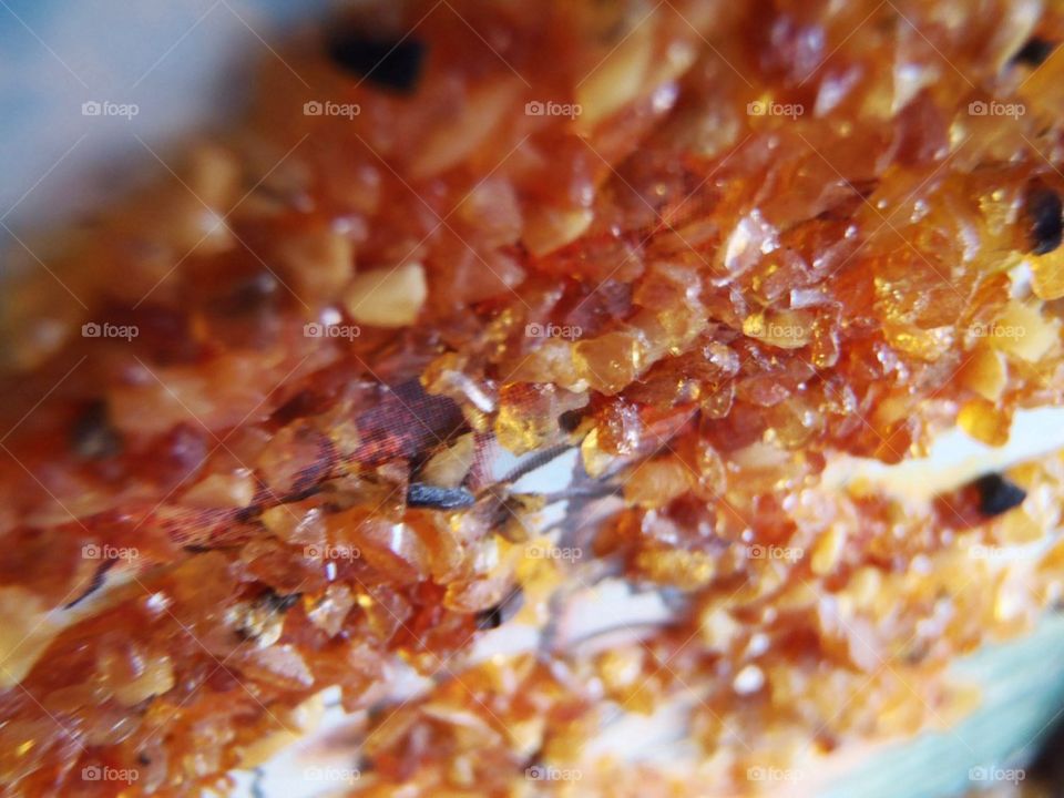 Tiny washed up by sea amber bits