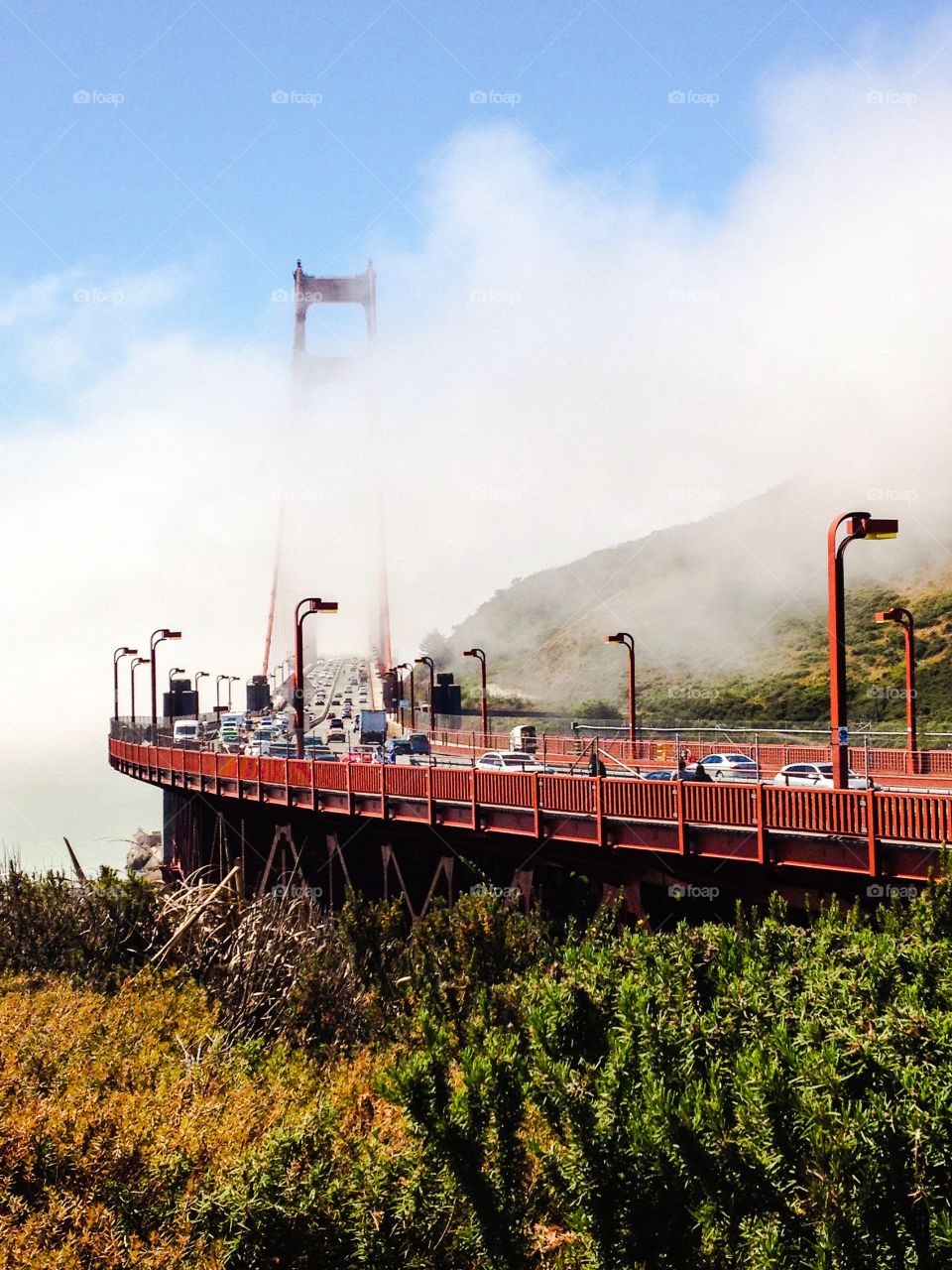 Golden Gate Closeup
