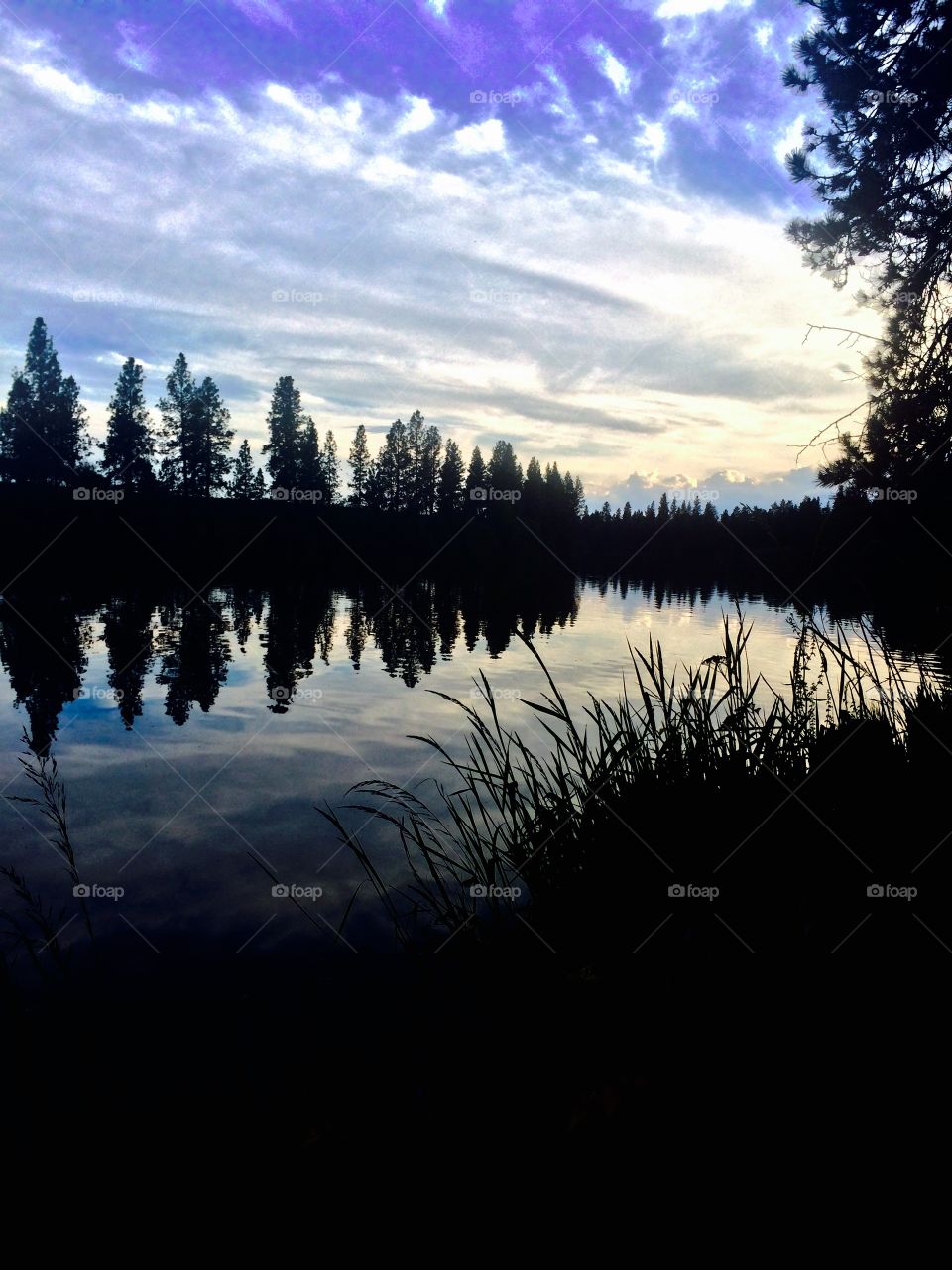 Silhouette of trees reflecting on spokane river