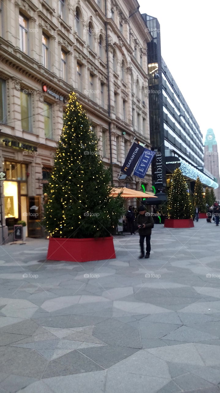 Christmas trees in Helsinki