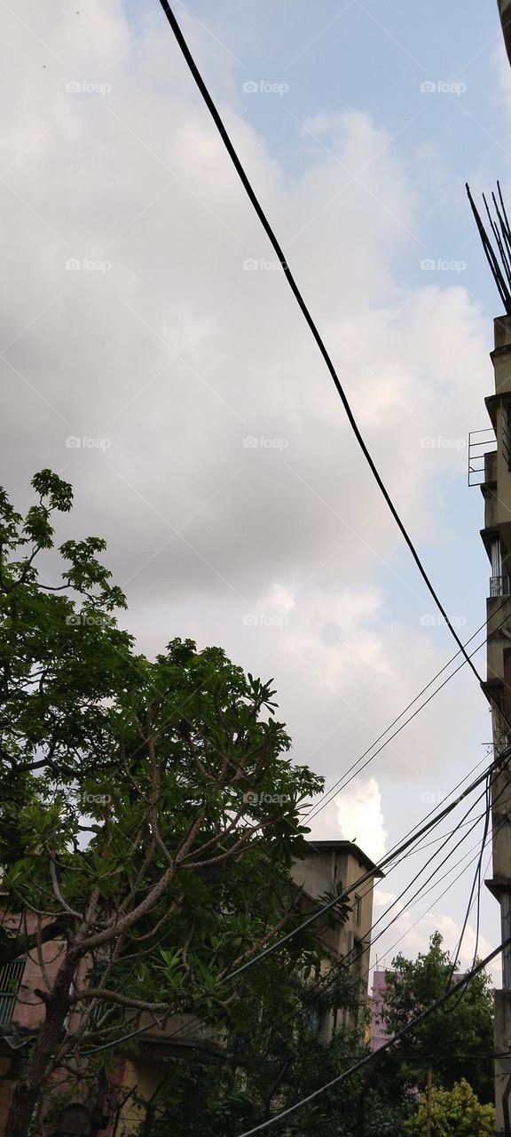 The sky and the clouds.
