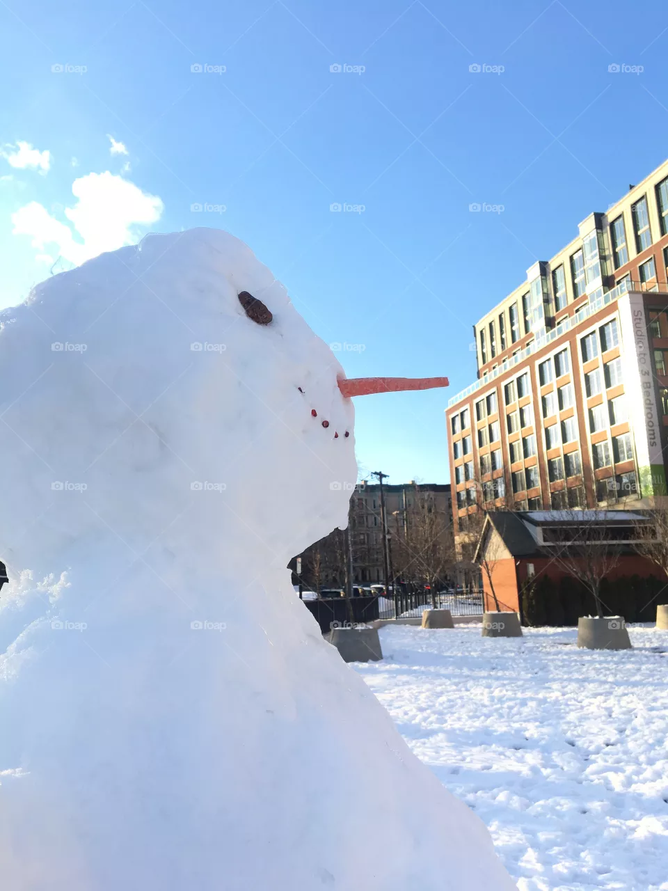 Snowman in profile