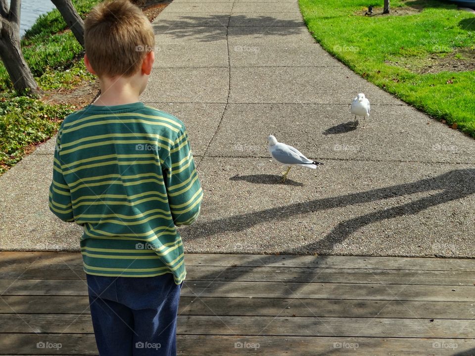 Boy Feeding Birds