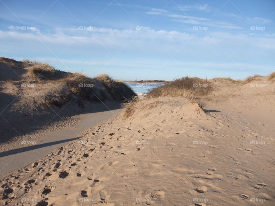 Sand dune