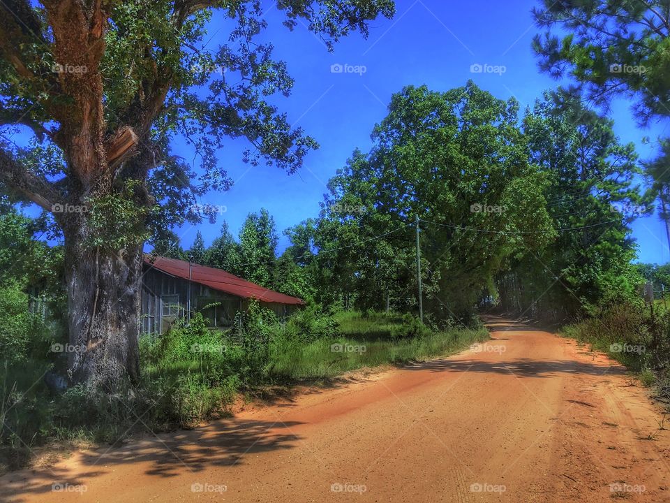 Dirt Road Dreams