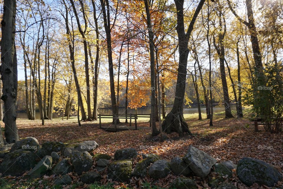 Nature in Autumn