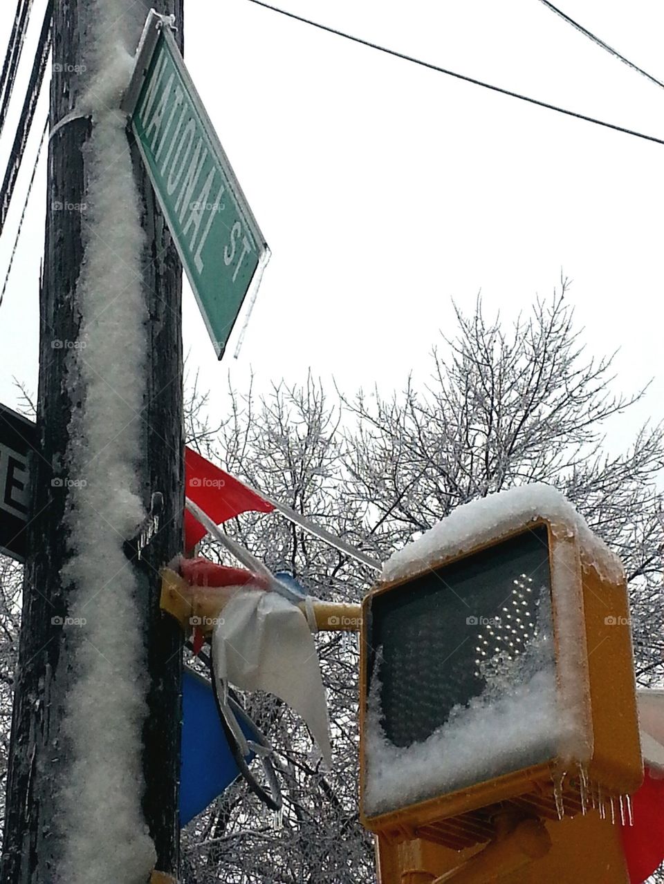 winter new york queens ny street signs by NikiNYC