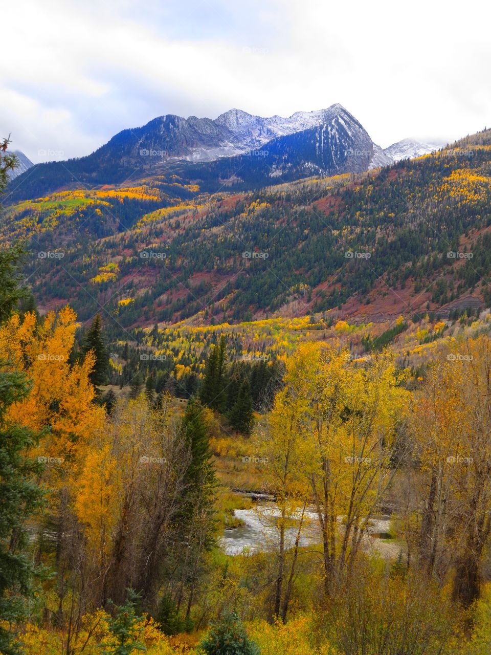 Autumn forest with river and mountains in background.