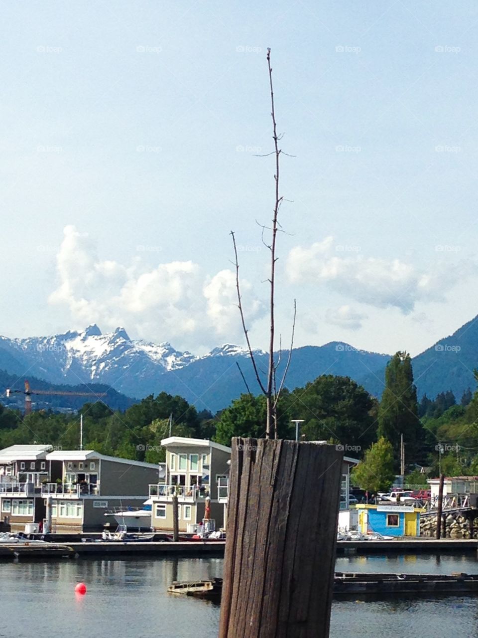 North Vancouver harbour mountain and marina view 