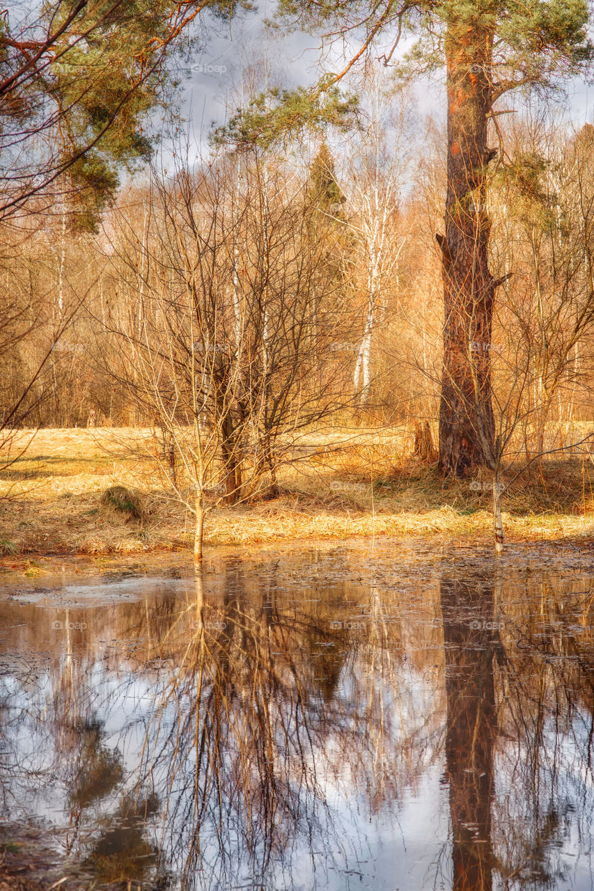 Yearly spring landscape with small pond at sunny day