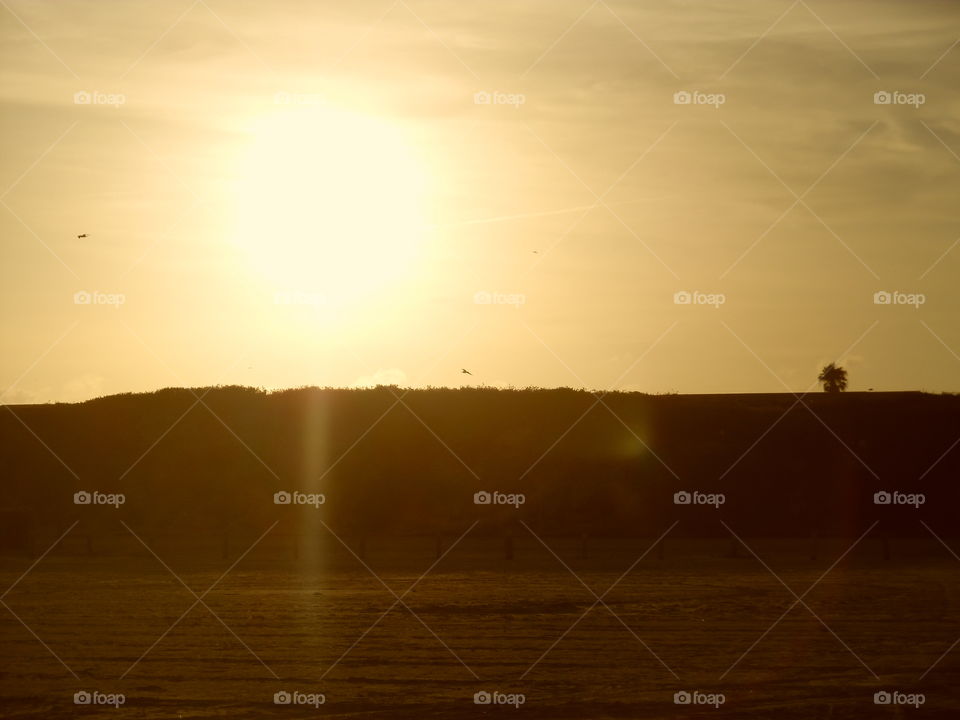 summer sunset 🌇. This is a picture of the sun going his way