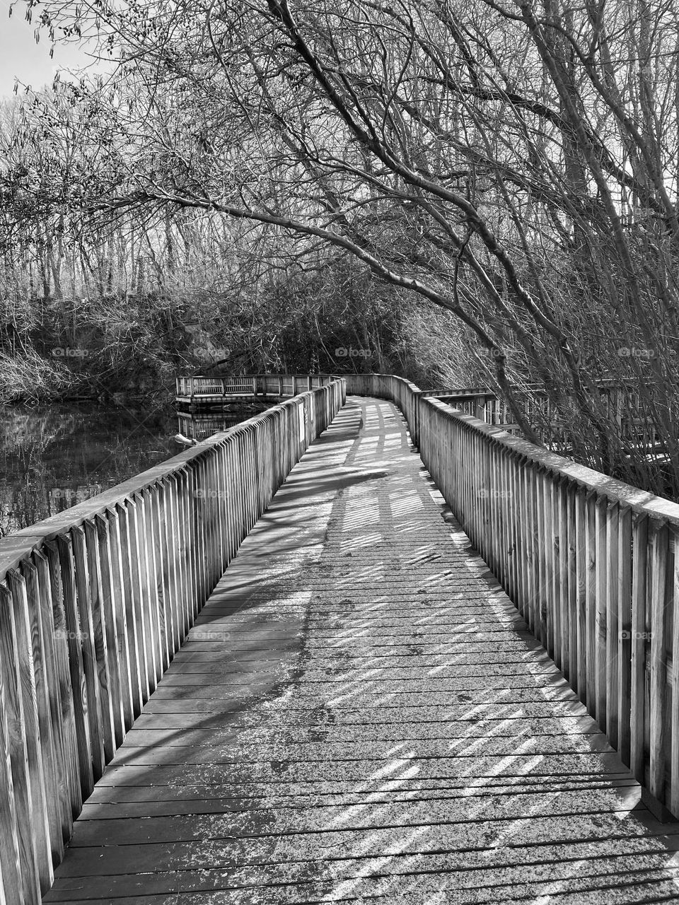 A boardwalk covered with some melting snow around the edge of a quarry lake at a local park