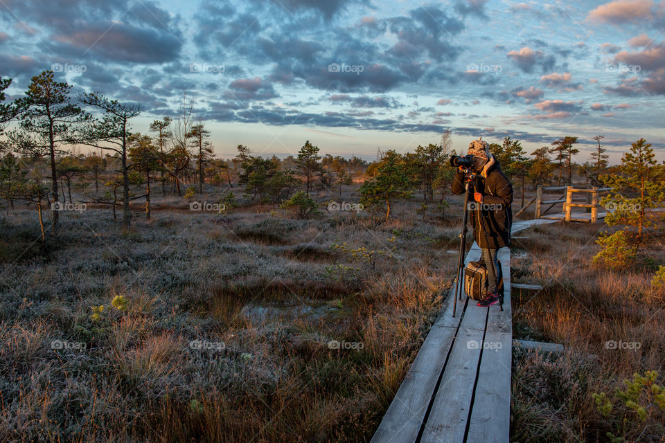 Photographer photograps the sunrise in the Kemeri bog in the cold autumn morning.