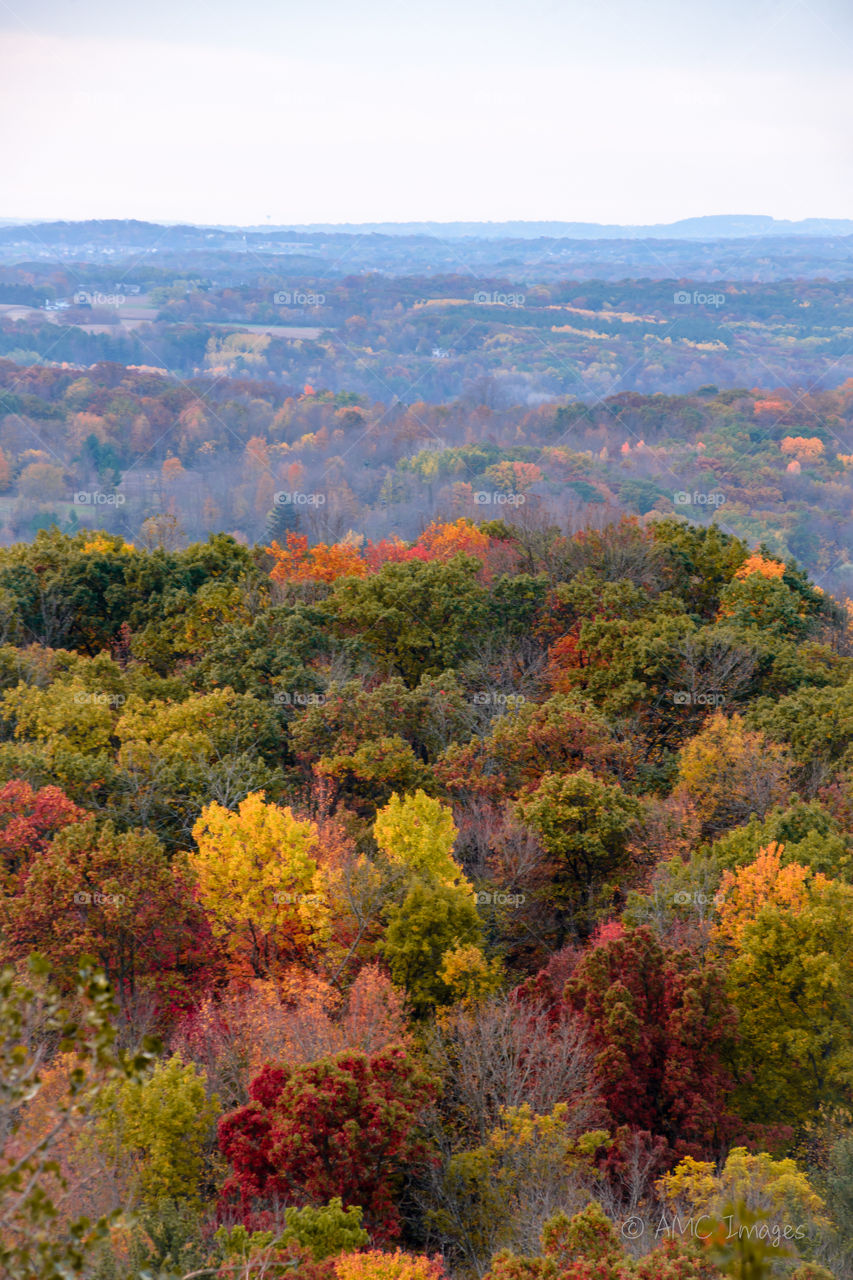 Overlooking view of colorful trees in the fall