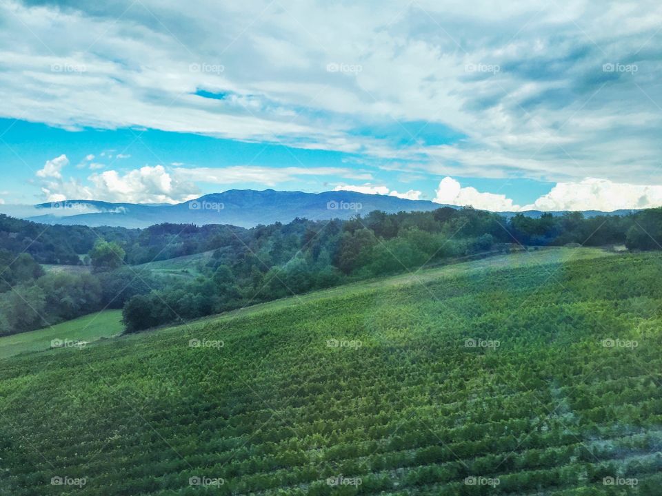 Tuscany fields and skies 