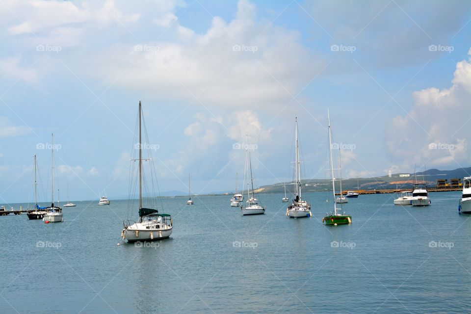 Sail Boats anchored in the Harbour,  Puerto Rico