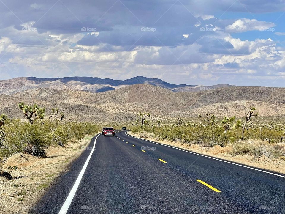 View to the road in the desert with car