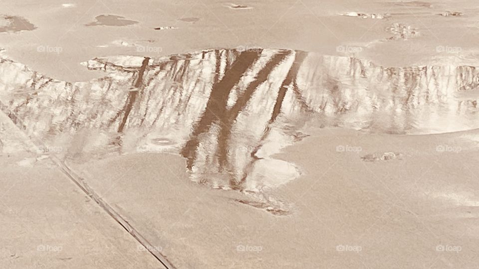 It Rained, left A Puddle in the Street. Remains drizzles. Lake Bed Tree Reflecting in the Puddle. Beautiful !