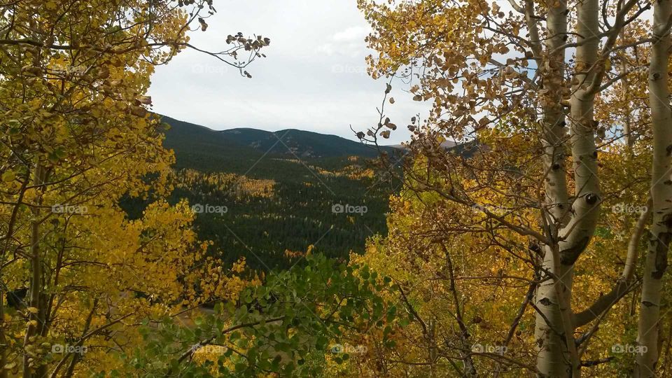 mountain fall foliage