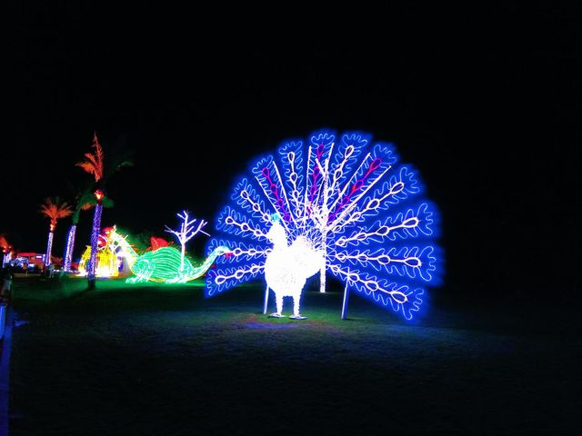 Night photos